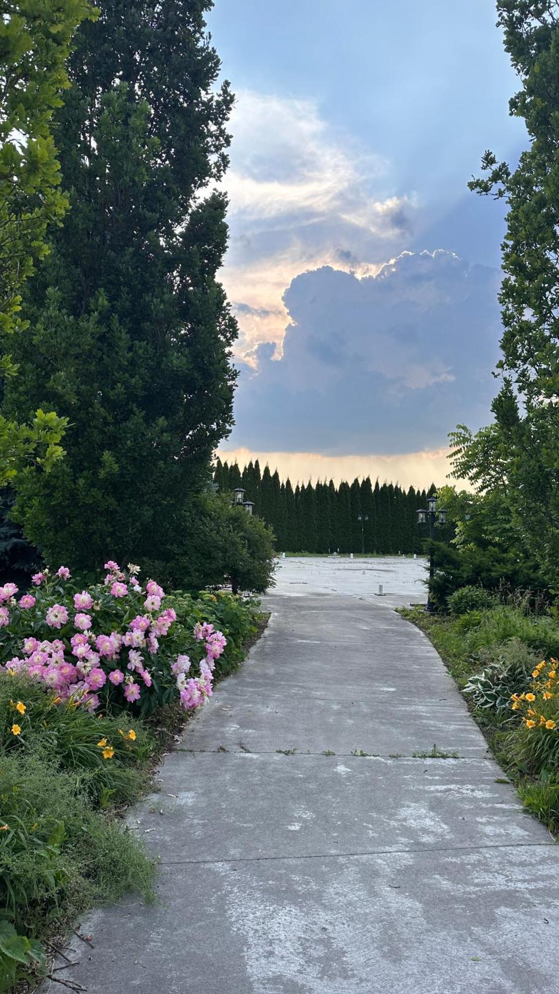 Stone Willow Inn Saint Marys ภายนอก รูปภาพ