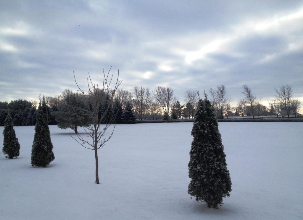 Stone Willow Inn Saint Marys ภายนอก รูปภาพ